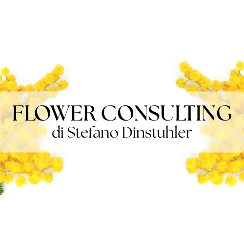 Stefano - FLOWER CONSULTING